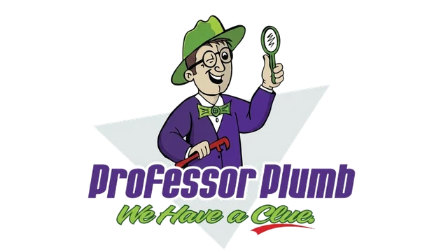 Professor Plumb, LLC